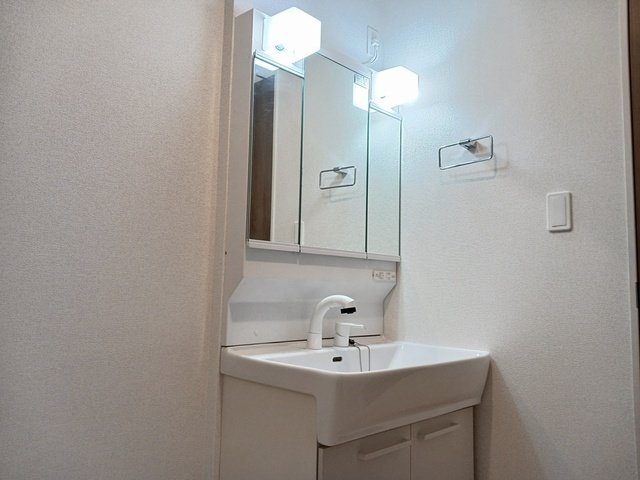 フリーデグランツの洗面所