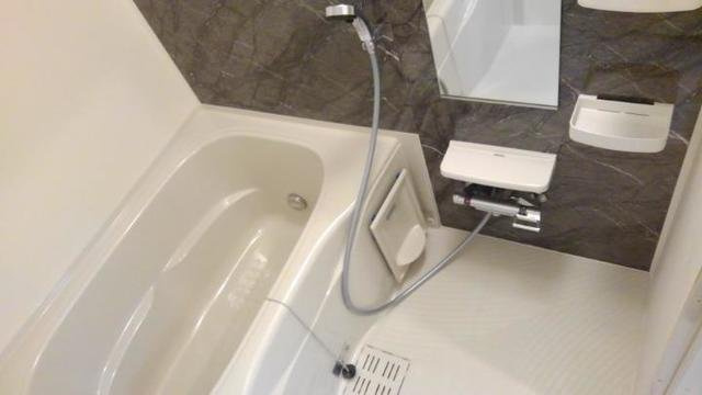 プラシードⅤの浴室