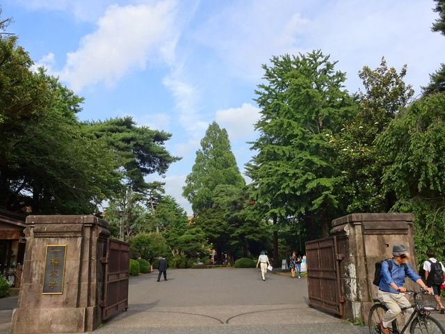 Ｍａｉｌｌｏｔ　Ｂｌａｎｃ　Ｋｕｎｉｔａｃｈｉ　Ｎ．のその他|国立一橋大学