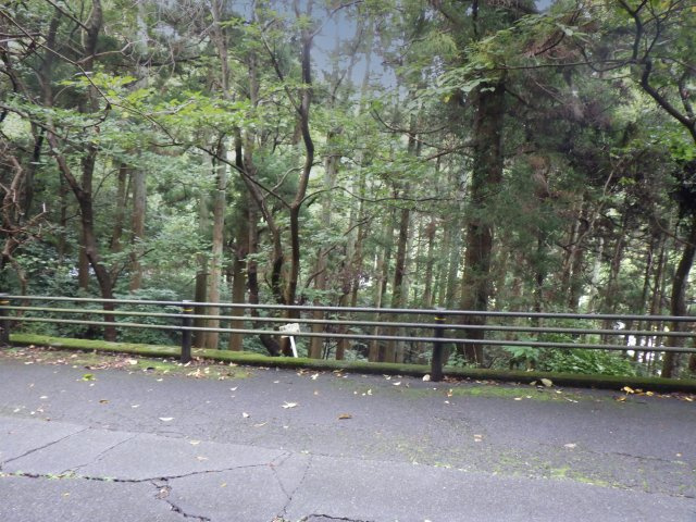 エンゼルフォレスト熱海自然郷⑱