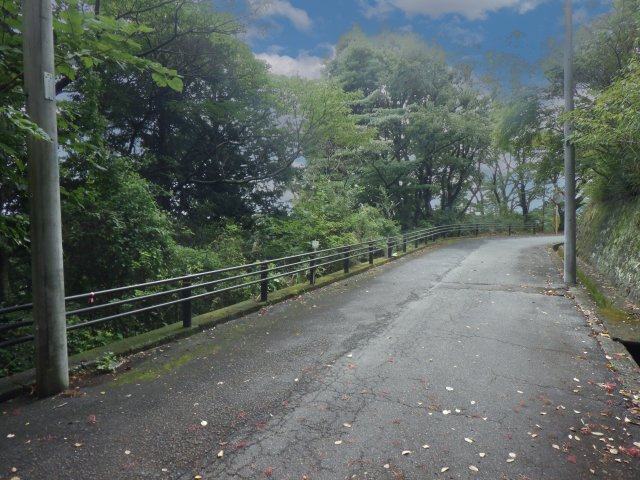 エンゼルフォレスト熱海自然郷⑱の前面道路含む現地写真