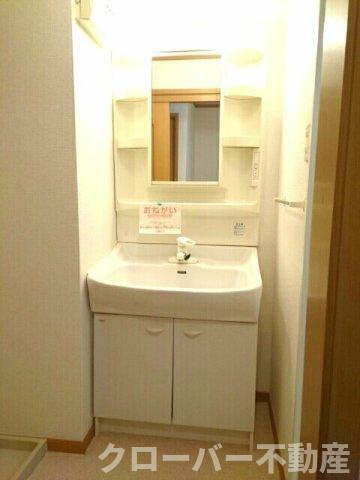 シャン・ミリューⅡＣの洗面所