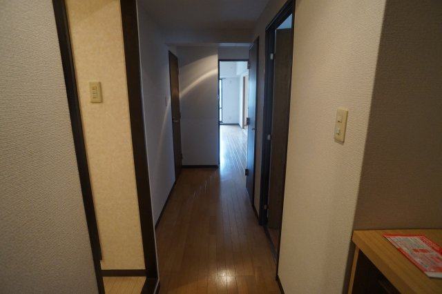 メゾン白光ヶ丘（ビャッコウガオカ）の内装