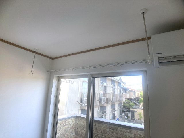 サンフラワーのその他