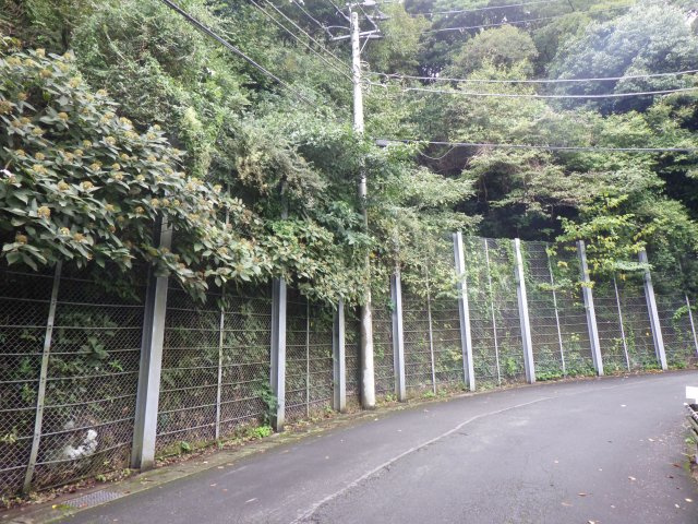 エンゼルフォレスト熱海自然郷⑲の前面道路含む現地写真