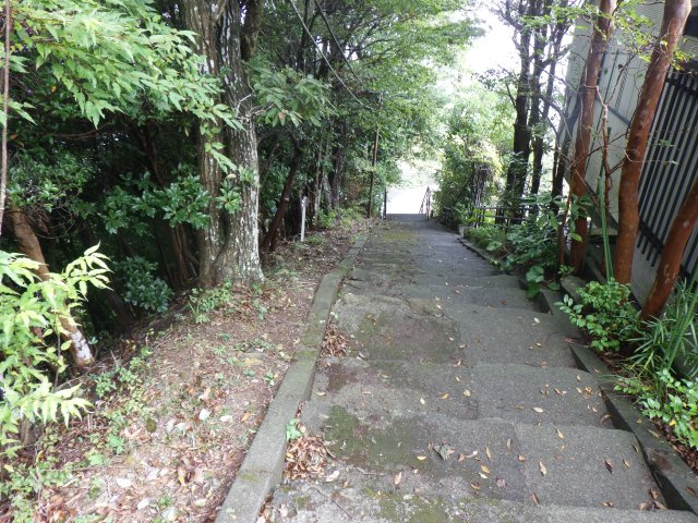 エンゼルフォレスト熱海自然郷⑲の前面道路含む現地写真
