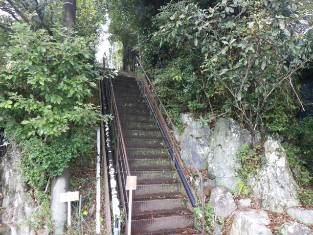 エンゼルフォレスト熱海自然郷⑲の前面道路含む現地写真
