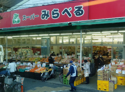 ザ・パークハビオ滝野川 の周辺