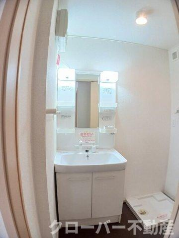 メゾンド・セルド・サンティエⅠの洗面所