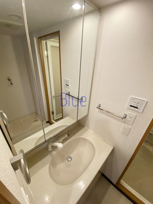 【洗面所】 | ヴィルヌーブ東戸塚プレジール | 同仕様