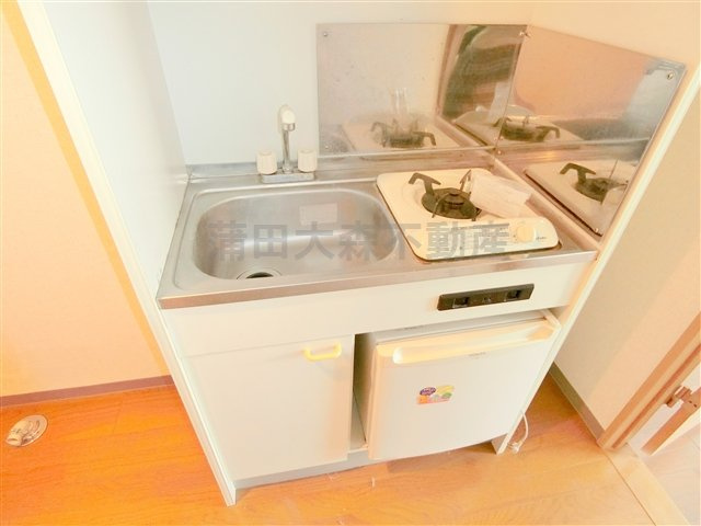 ナシェレⅡのキッチン