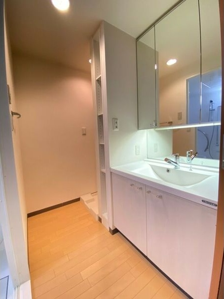 CITY　SPIRE桜川Ⅰの洗面所