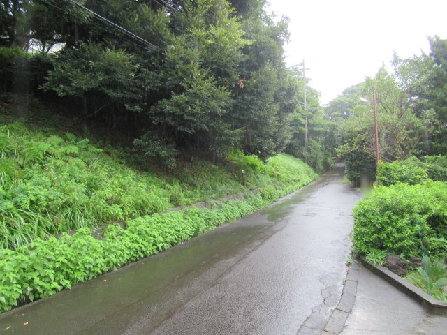 エンゼルフォレスト大川汐見崎①の前面道路含む現地写真