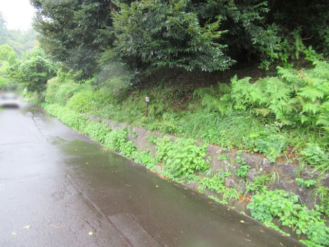 エンゼルフォレスト大川汐見崎①の前面道路含む現地写真