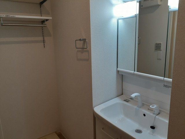 フェリス　テレーノⅠの洗面所