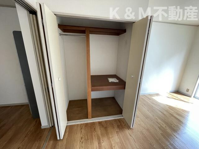 ドフィーヌ柏の収納|こまごまとしたものを収納できそうですね