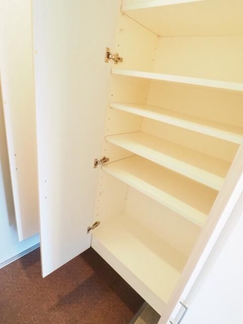 ブランシュール北町の収納