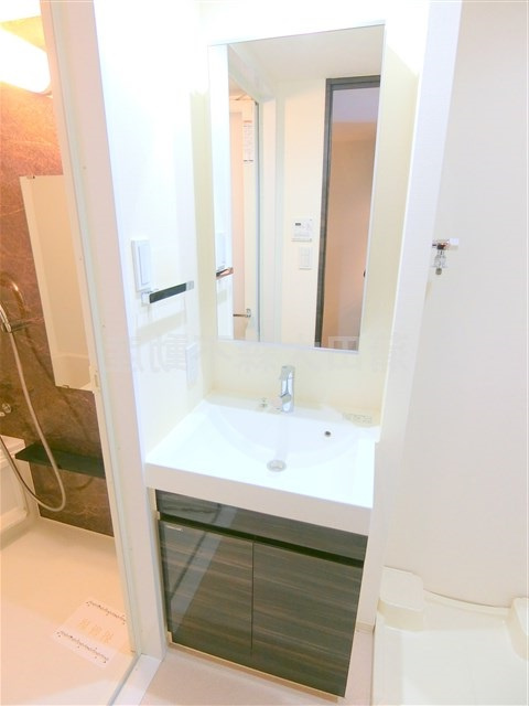 レアライズ羽田の洗面所|独立洗面台　洗面脱衣所　洗濯機置き場