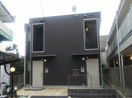 シャインウラワの画像