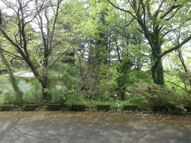 南箱根ダイヤランド⑤