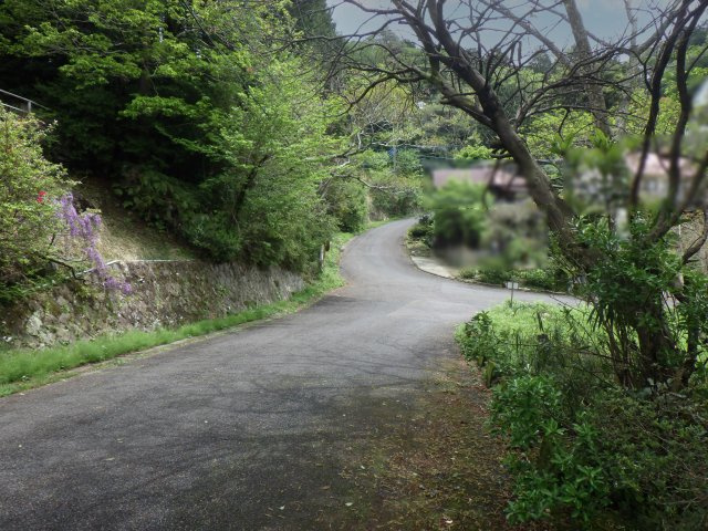 南箱根ダイヤランド⑤の前面道路含む現地写真