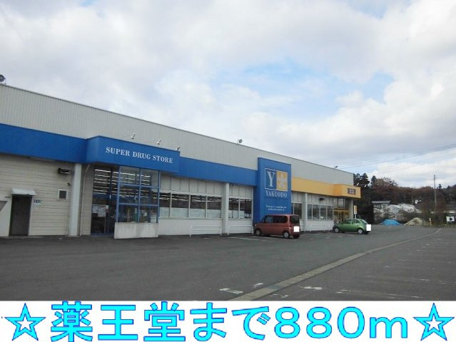 ハーモニーＡの周辺|薬王堂まで880m