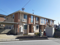 グリーン琥珀　Ⅱの画像