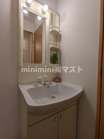 グレース上本町の洗面所