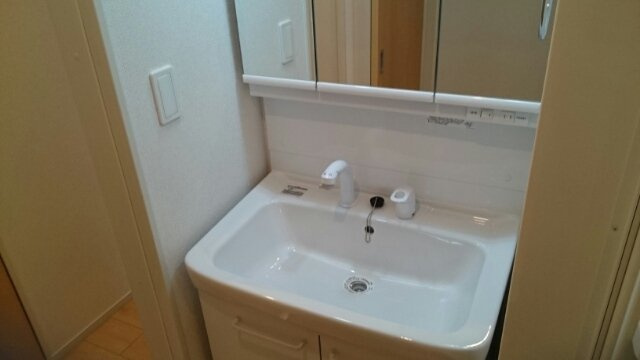 サンアヴェニューⅡの洗面所