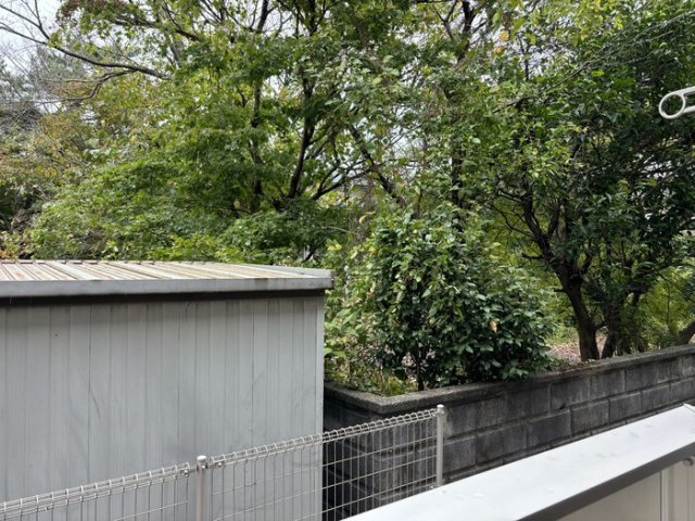 コーポラスみのりの展望