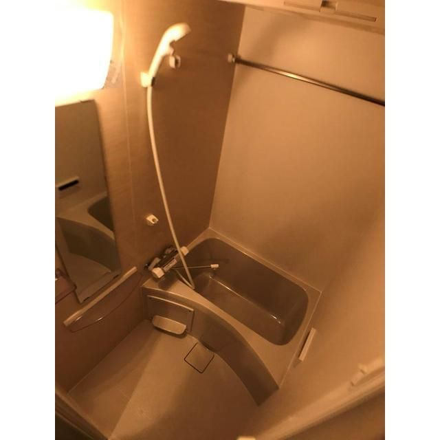 ロイヤルブルーム高鼻町の浴室