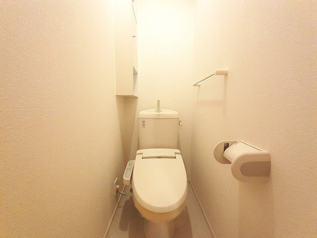 ミディのトイレ