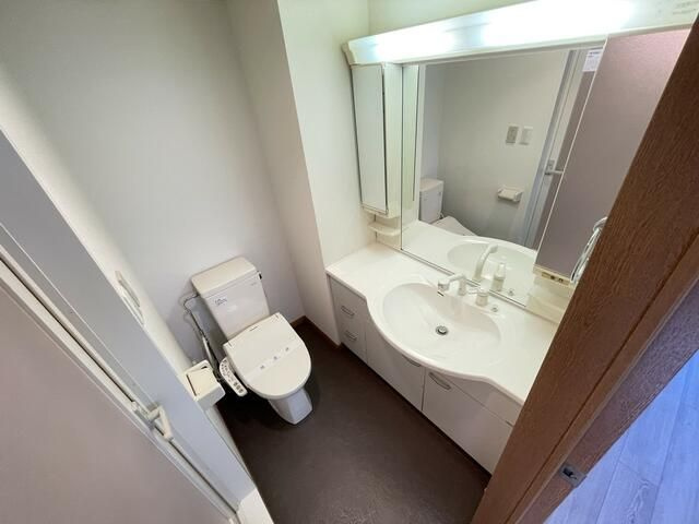 エスペランサ高嶋の洗面所