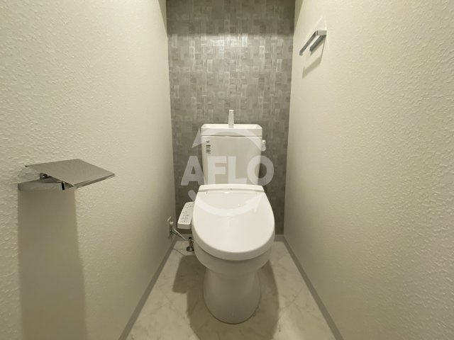 S-RESIDENCE天満Gracis（エスレジデンス天満グレイシス）のトイレ|S-RESIDENCE天満Gracis（グレイシス）　トイレ