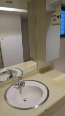 【独立洗面台】 | ロイヤルパーク高田 | 朝の支度にも助かる、独立の洗髪洗面化粧台