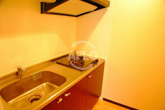 アプリーレ南堀江のキッチン|アプリーレ南堀江　2口ガスシステムキッチン