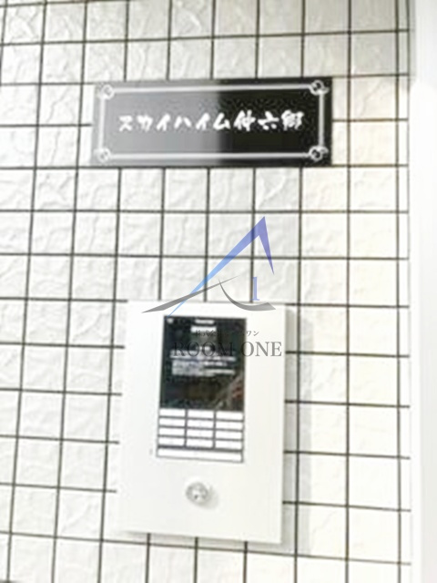 スカイハイム仲六郷のエントランス|エントランスです。