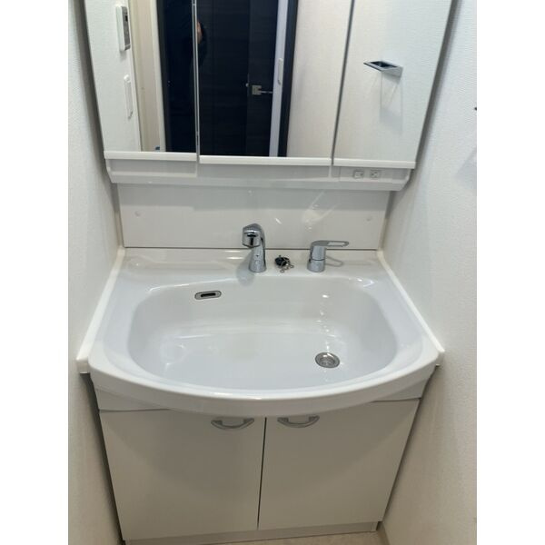 エステムコート名古屋TWIN　WESTの洗面所|※シリーズ物件写真　イメージ