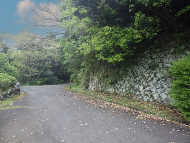 伊豆エメラルドタウン㉗の前面道路含む現地写真
