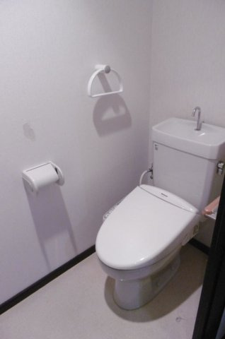 熊本市中央区新大江３丁目の賃貸マンションのトイレ