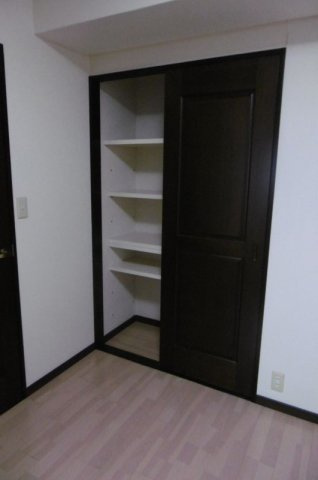 熊本市中央区新大江３丁目の賃貸マンションの収納