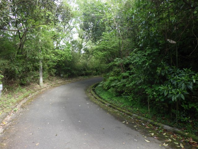 伊豆エメラルドタウン㉘の前面道路含む現地写真