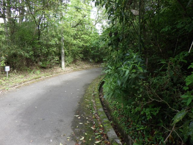 伊豆エメラルドタウン㉘の前面道路含む現地写真
