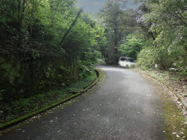 伊豆エメラルドタウン㉘の前面道路含む現地写真
