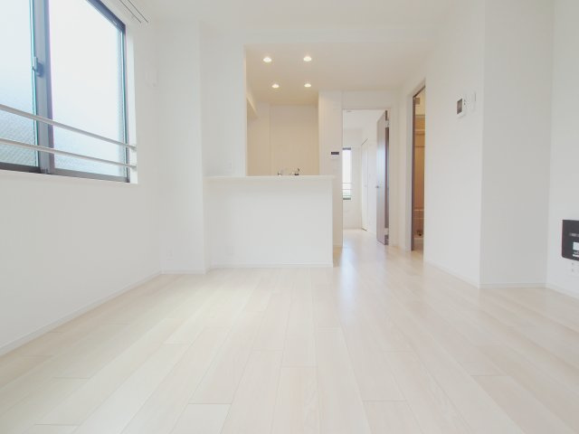 カメリアⅡの展望