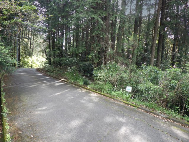 伊豆エメラルドタウン㉙の前面道路含む現地写真