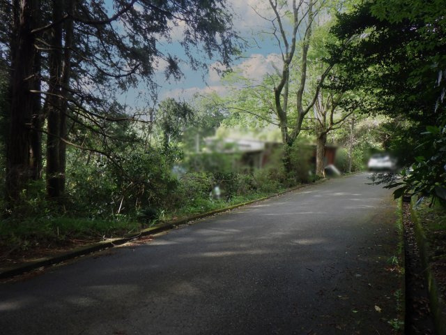 伊豆エメラルドタウン㉙の前面道路含む現地写真