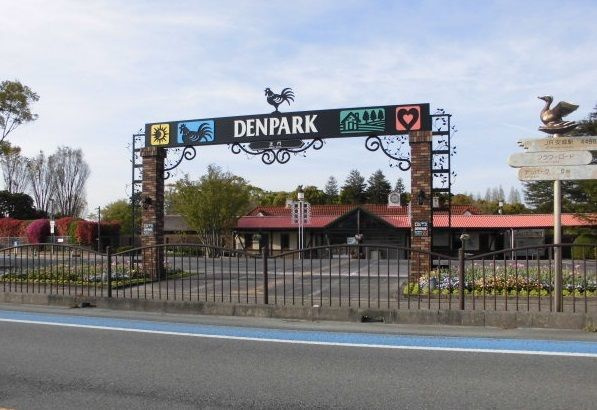 ｇｌａｎｚ　Ｙ．Ｓ　　刈谷市近郊の賃貸はクラスホームのその他