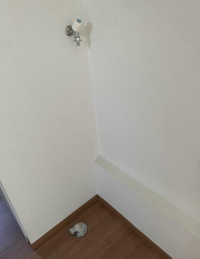 フェリスウィンディ