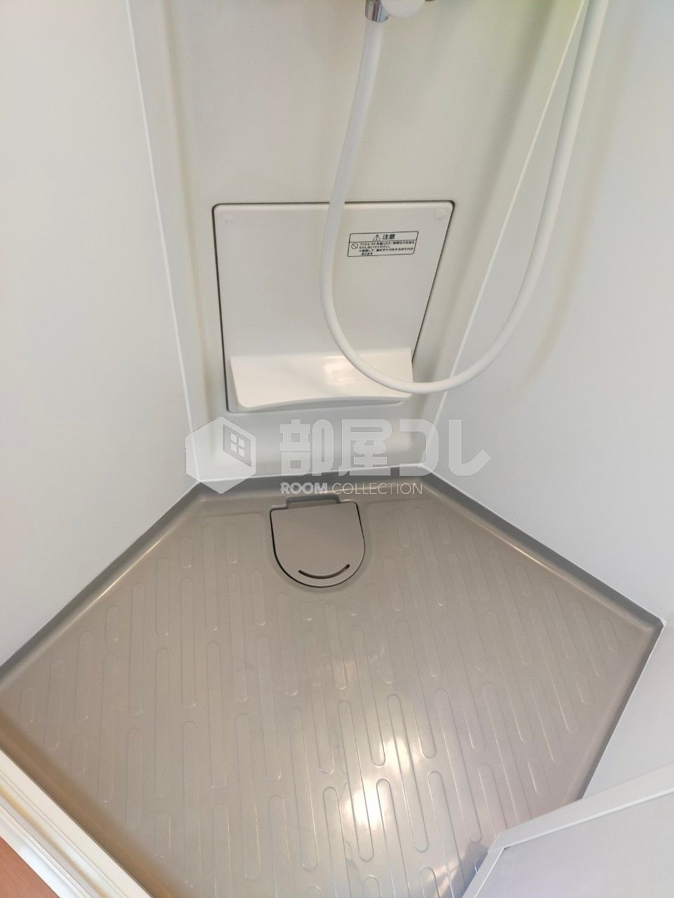 フェリスウィンディ